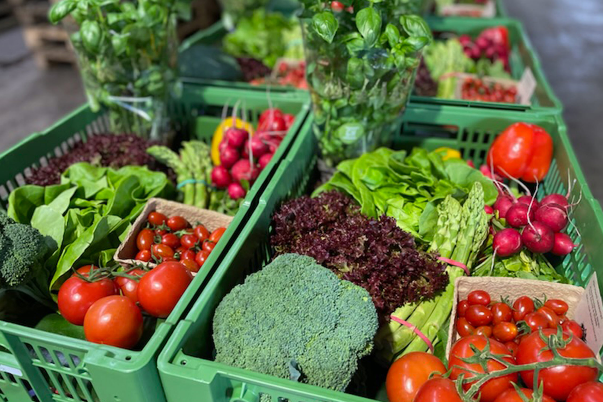 Frisches Gemüse am Marktstand